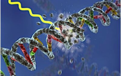 DMAE Seca (II): estrés oxidativo