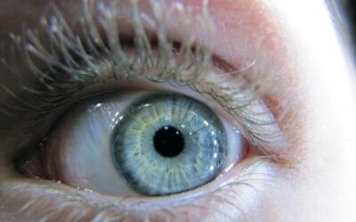 Buenas noticias para los pacientes que sufren degeneración macular seca