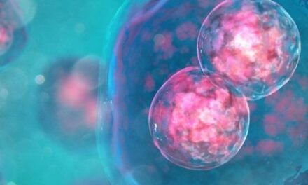 SanBio obtiene una patente clave para el tratamiento de la degeneración macular