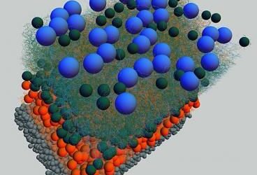 Estableciendo conexiones en el ojo
