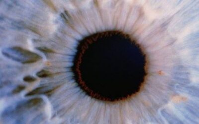 Las células de los ojos de los fallecidos «pueden dar visión a los invidentes»