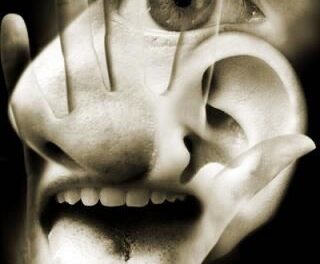 La vista, el sentido más importante de cuantos poseemos