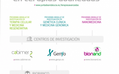 Los profesionales de la sanidad andaluza presentan un total de 337 ensayos clínicos con medicamentos a lo largo de 2013