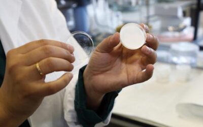 Un proyecto español para ralentizar un tipo de ceguera