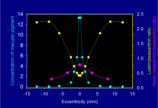 Importancia de la medida del pigmento macular en la detección precoz de la DMAE