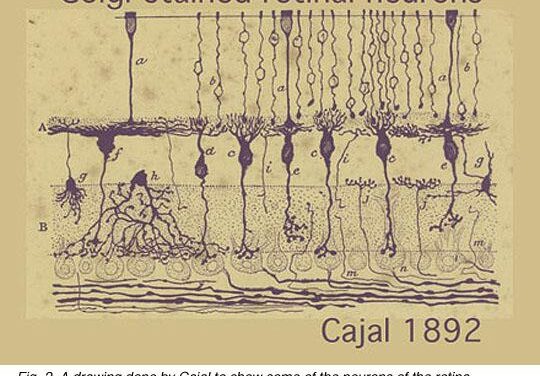 Lo que este país ha aportado y sigue aportando al mundo de la visión