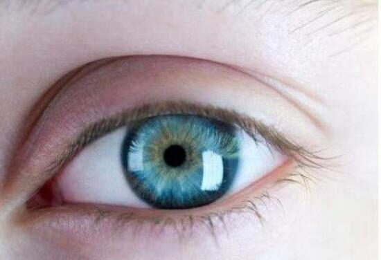 Regeneran el tejido de la córnea del ojo a partir de células madre humanas adultas