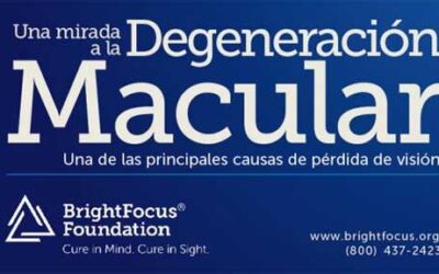 Una mirada a la degeneración macular