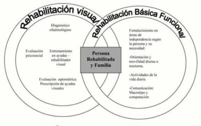 Rehabilitación visual: formas de apoyo para pacientes con DMAE