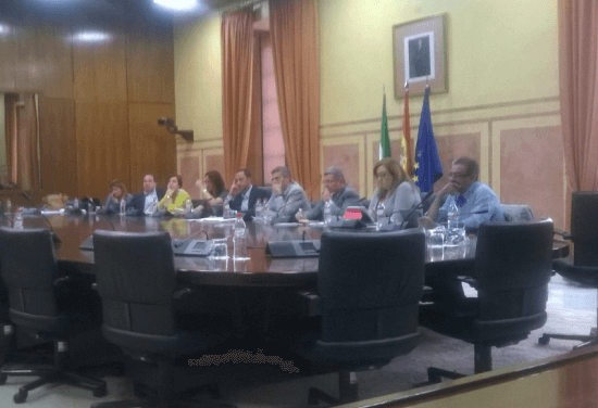 Asociación Mácula Retina en Parlamento de Andalucía