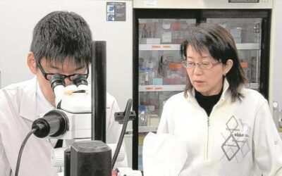 Células de la piel para frenar la degeneración macular