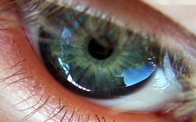 Distrofias de conos y bastones