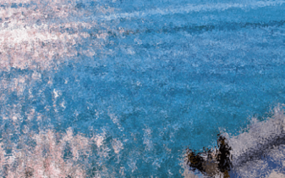 ¿Qué es Baja Visión?