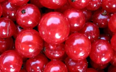 Degeneración Macular: los mejores alimentos para prevenirla