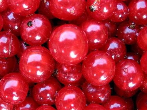 Degeneración Macular: los mejores alimentos para prevenirla