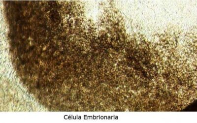 Segundo ensayo clínico eficaz contra la Degeneración Macular
