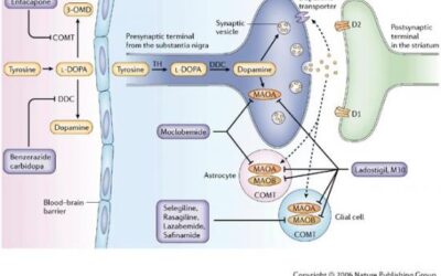 Una medicina que se toma para el Parkinson retrasa la aparición de la DMAE