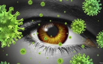 ¿Cómo afecta el verano a la visión?