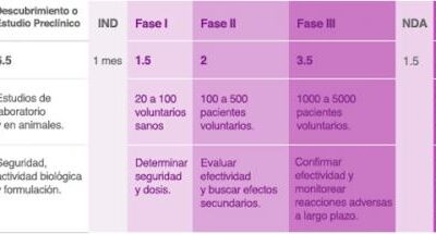 ¿Cuáles son las etapas de un estudio clínico?