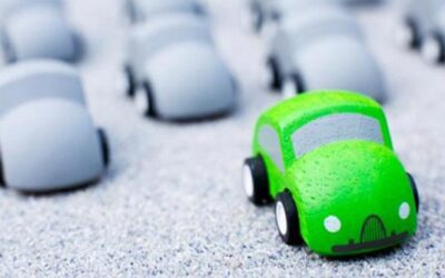 La Asociación Mácula Retina ante la Ley Andaluza de Sostenibilidad