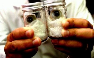 Relación de mortalidad con enfermedades oculares y discapacidad visual