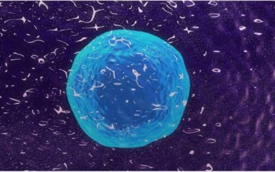 Descubren la causa genética de los trastornos inmunes