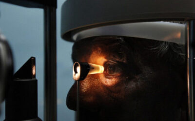 Curando la ceguera con células madre