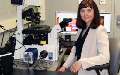 Un hallazgo inesperado puede evitar la retinopatía diabética