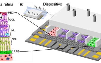 Un microchip de retina para estudiar la Retinosis pigmentaria
