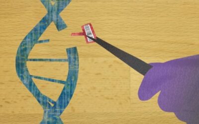 Cirugía del genoma para patologías oculares