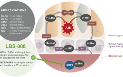 EMA aprueba LBS-008 para Stargardt como medicamento huérfano