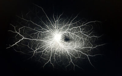 Fluid Intelligence, una aplicación móvil de IA para enfermedades retinianas