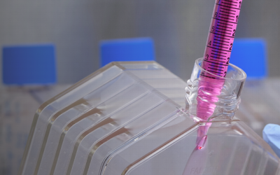 Designación de tratamiento urgente para terapia DMAE húmeda