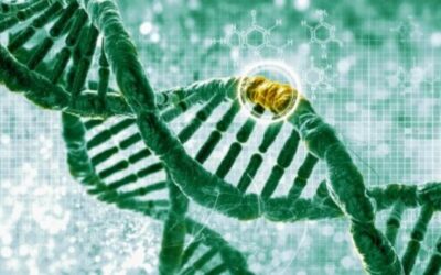 Estudio de asociación del genoma completo y DMAE