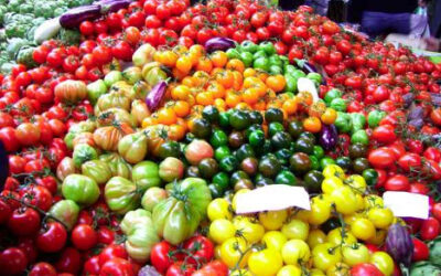 Un regalo para la vista