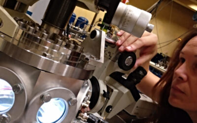 Estudio en DMAE de Acumulación de Metales-Traza en Modelos Celulares y Animales