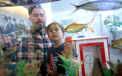 Terapia génica Luxturna para Caspian Soto con amaurosis de Leber