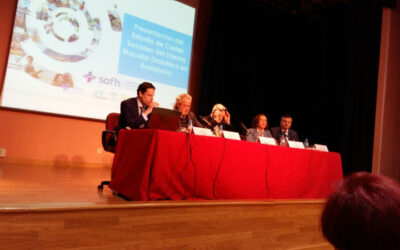 Edema Macular Diabético: Consecuencias socio-económicas