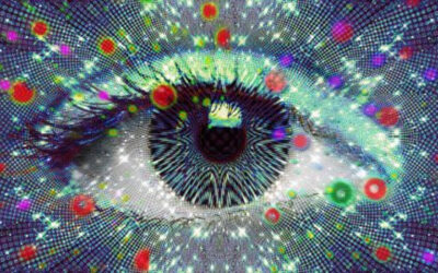 Experimental transplant of retinal pigment epithelium to develop a treatment for ophthalmic diseases