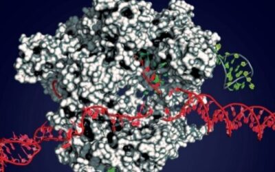 La FDA autoriza ensayo clínico EDIT-101 de Editas Medicine y Novartis para LCA10