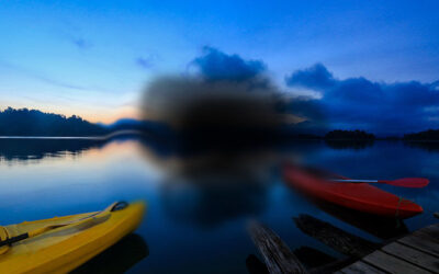 Qué es la degeneración macular asociada a la edad