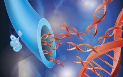 Retinosis pigmentaria 37 (RP37)