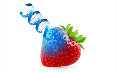 ¿Qué es la genómica nutricional?