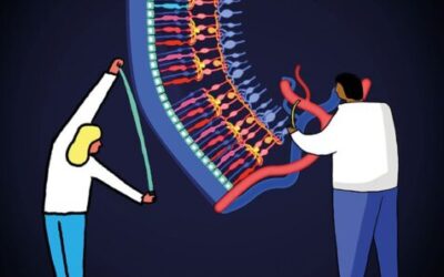 Reparación retiniana: perspectivas de futuro
