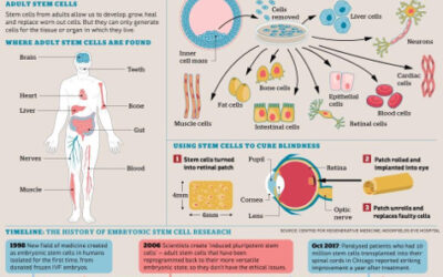 Avances en la terapia con células madre para la DMAE