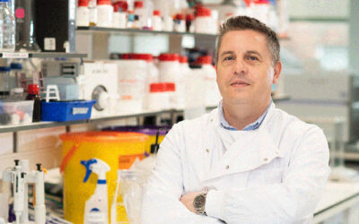 CAMKII como diana terapéutica para la neovascularización retiniana y coroidea