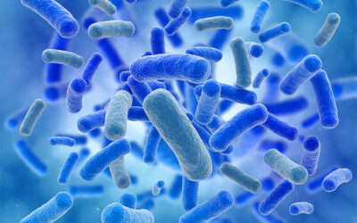 Microbioma y degeneración macular relacionada con la edad (DMAE)