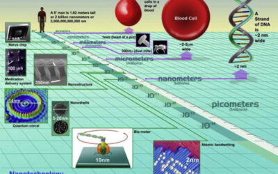 Nanopartículas de Quantum Dots para tratar la retinosis pigmentaria