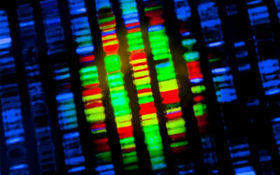 Pruebas genéticas para la degeneración macular