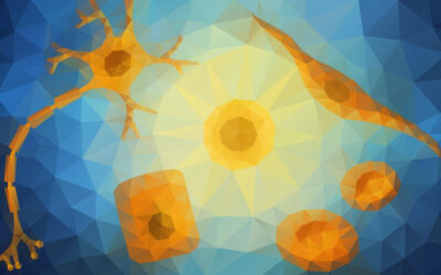 ¿Qué es una célula madre?